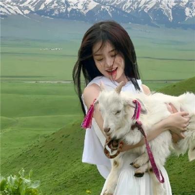 汤姆猫与杰利鼠：海盗寻宝封面