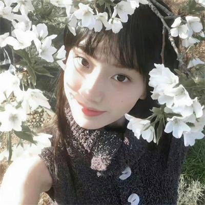 超级少女第四季封面